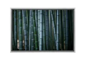 Bamboo Forest | Canvas Wall Art Print