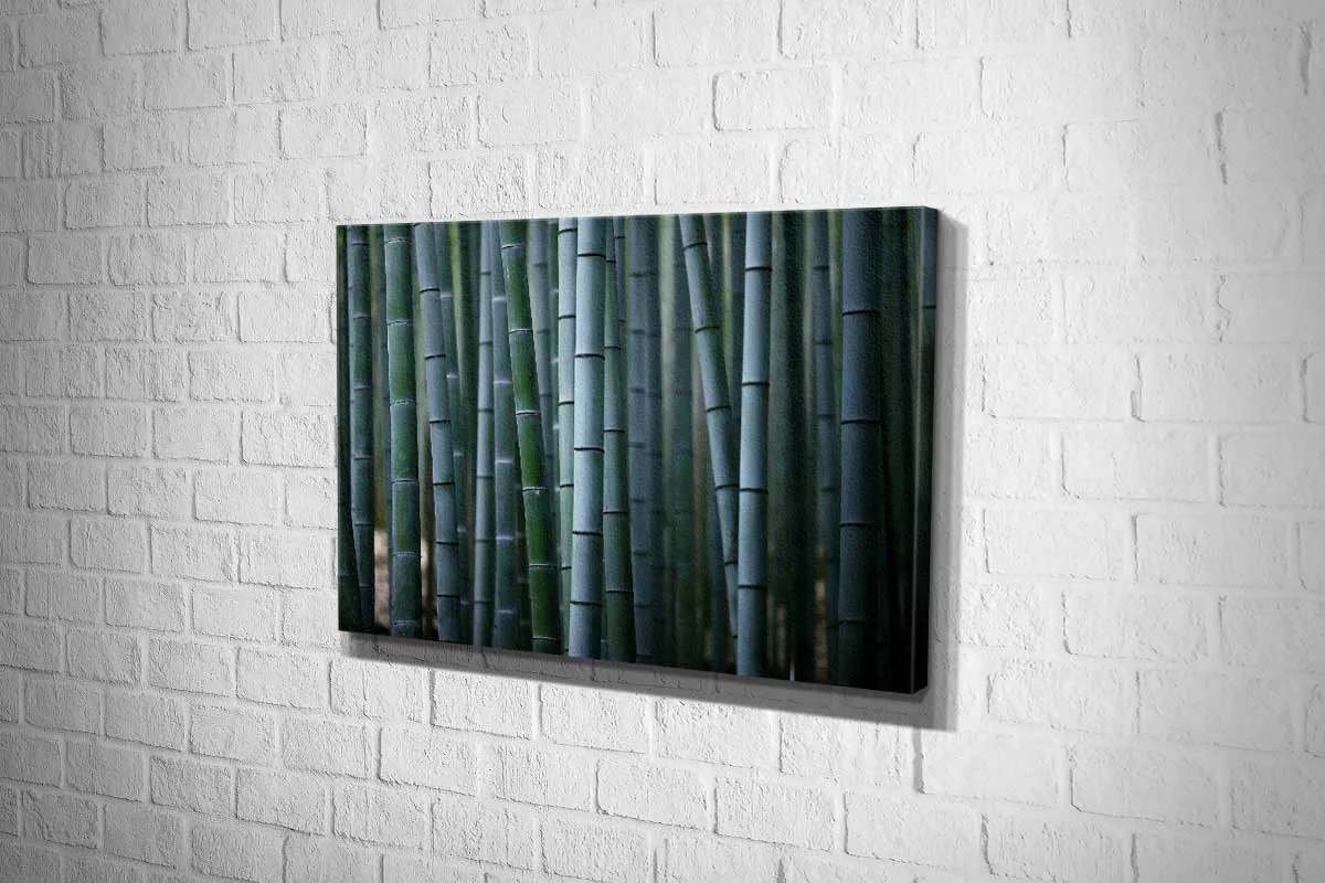 Bamboo Forest | Canvas Wall Art Print