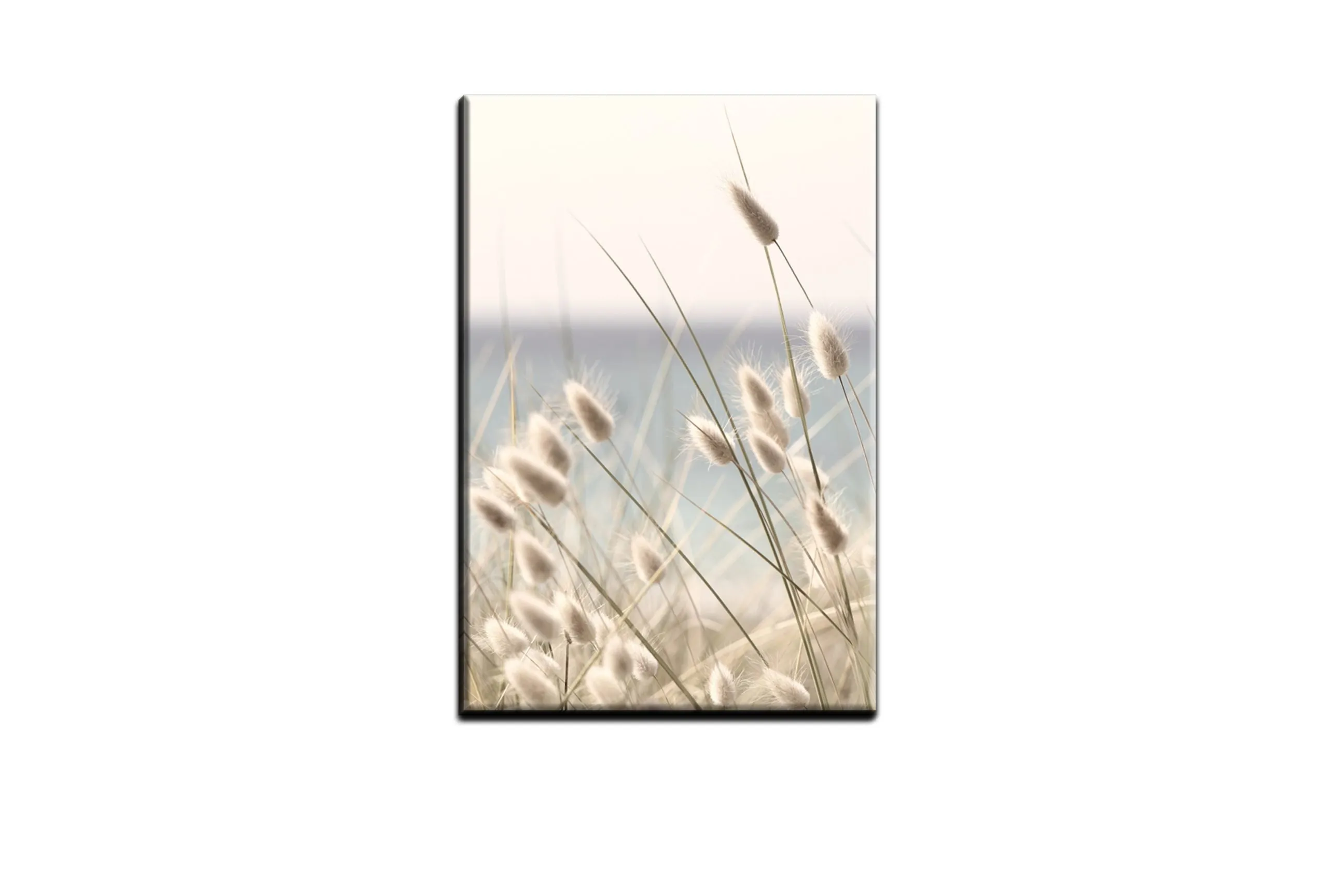 Beach Grass | Wall Art Print