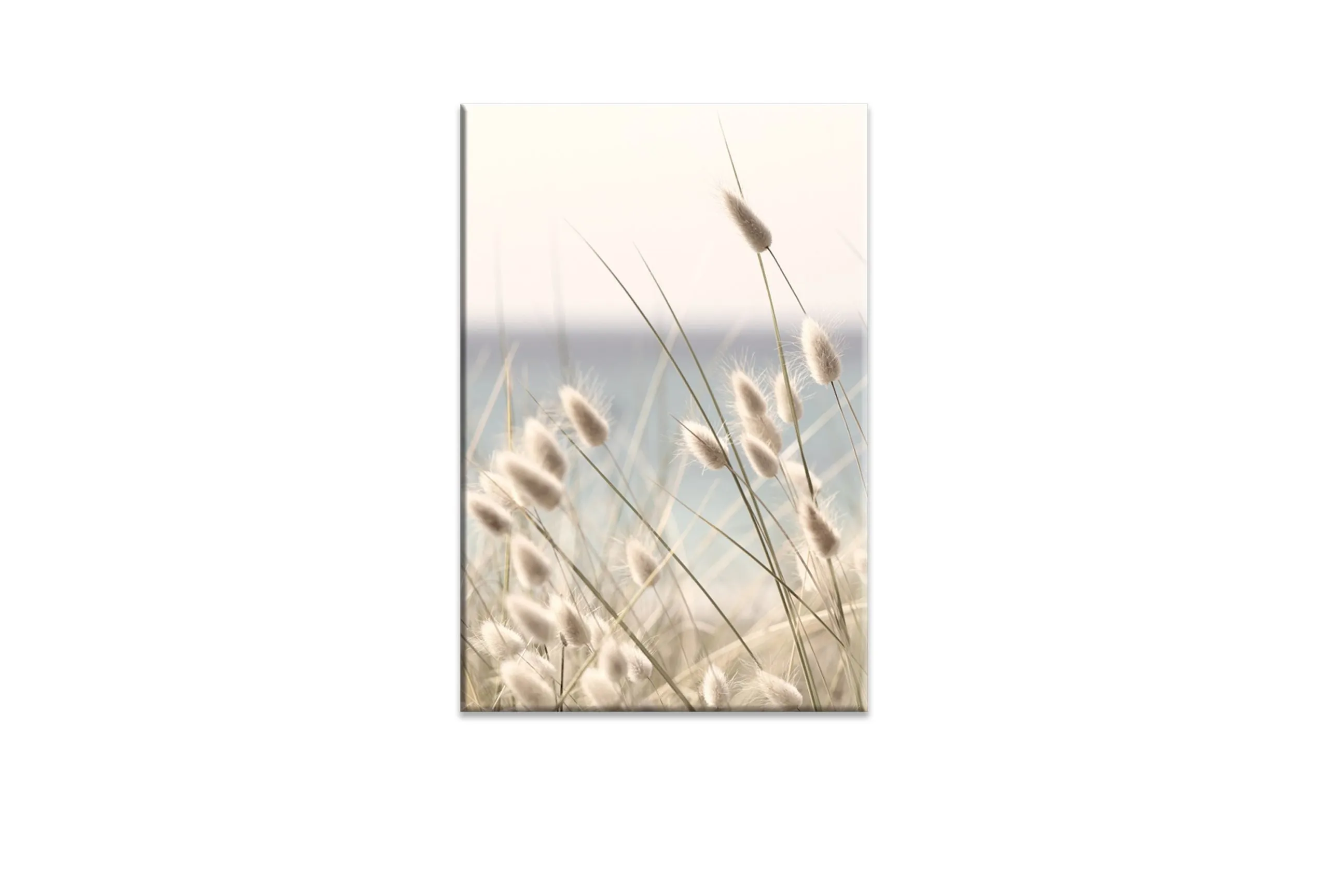 Beach Grass | Wall Art Print