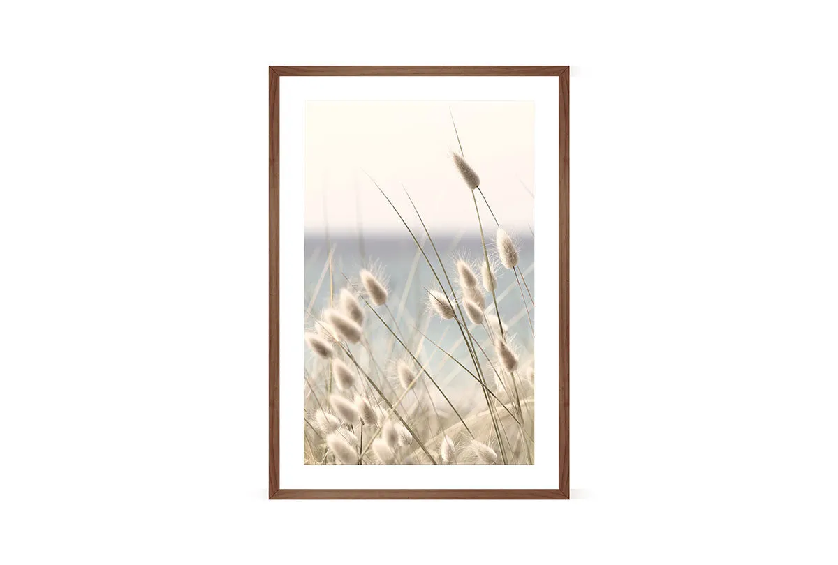 Beach Grass | Wall Art Print