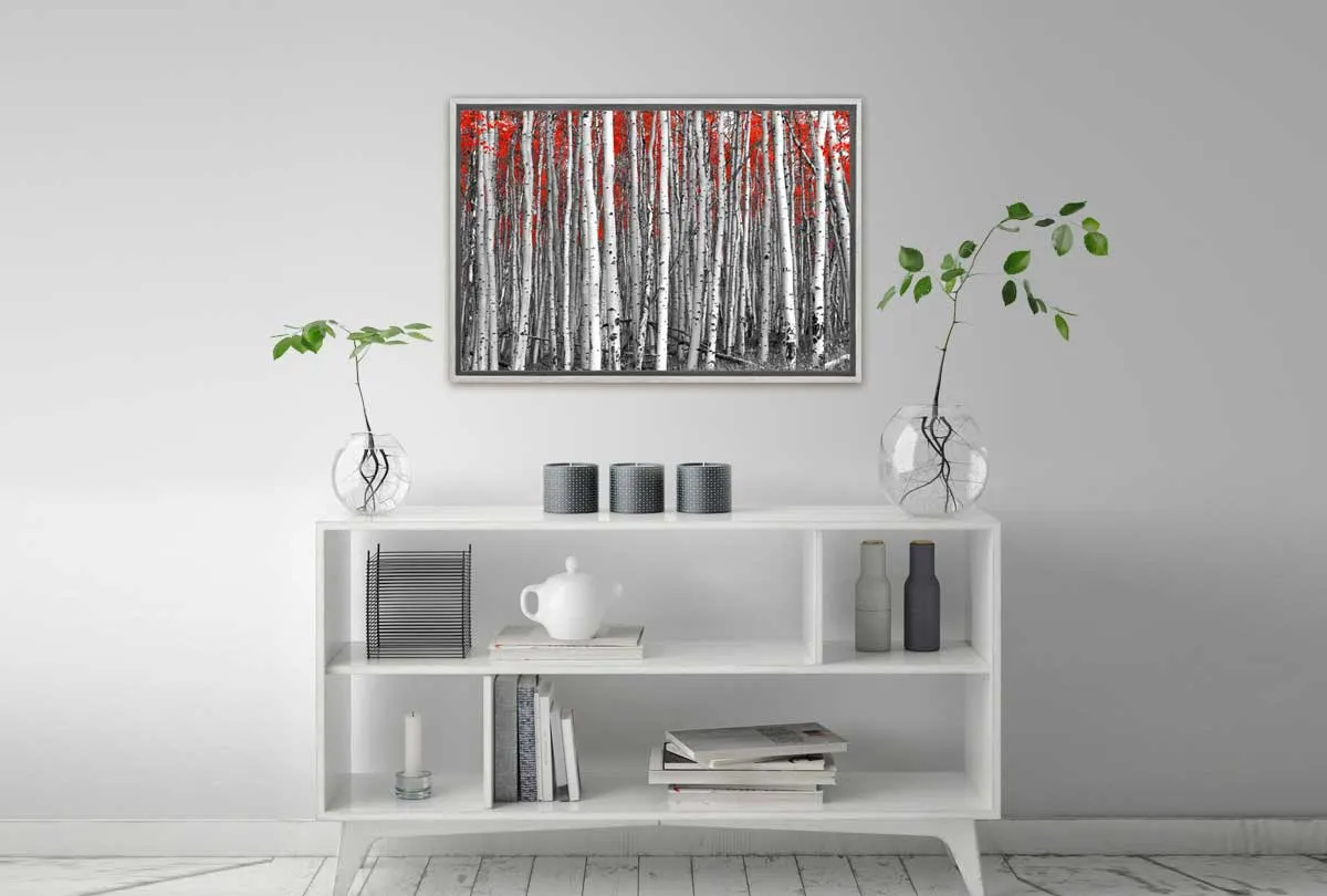 Birch Forest | Canvas Wall Art Print