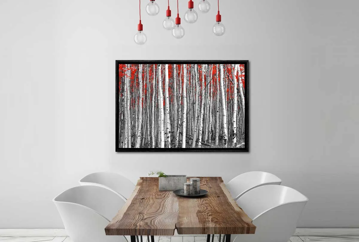 Birch Forest | Canvas Wall Art Print