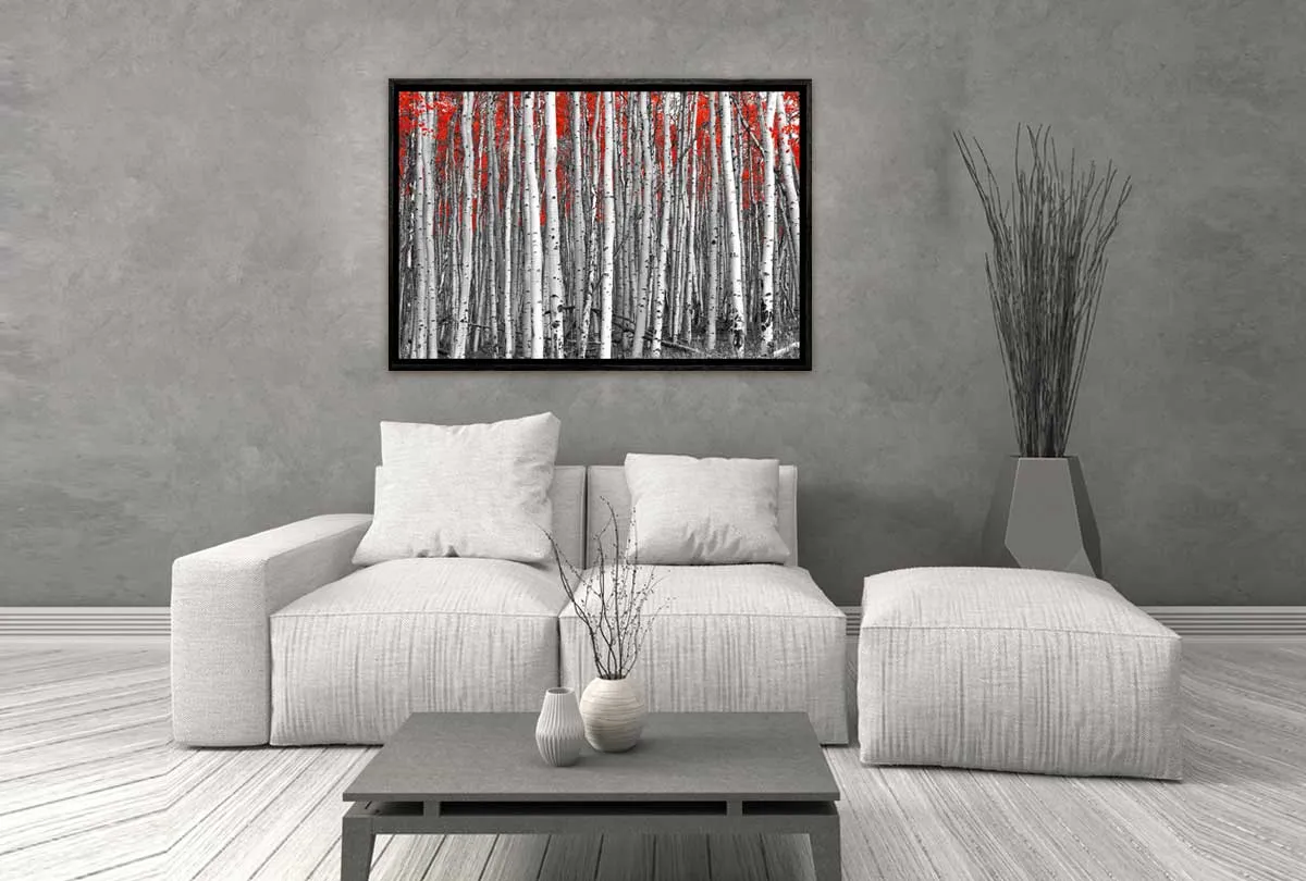 Birch Forest | Canvas Wall Art Print