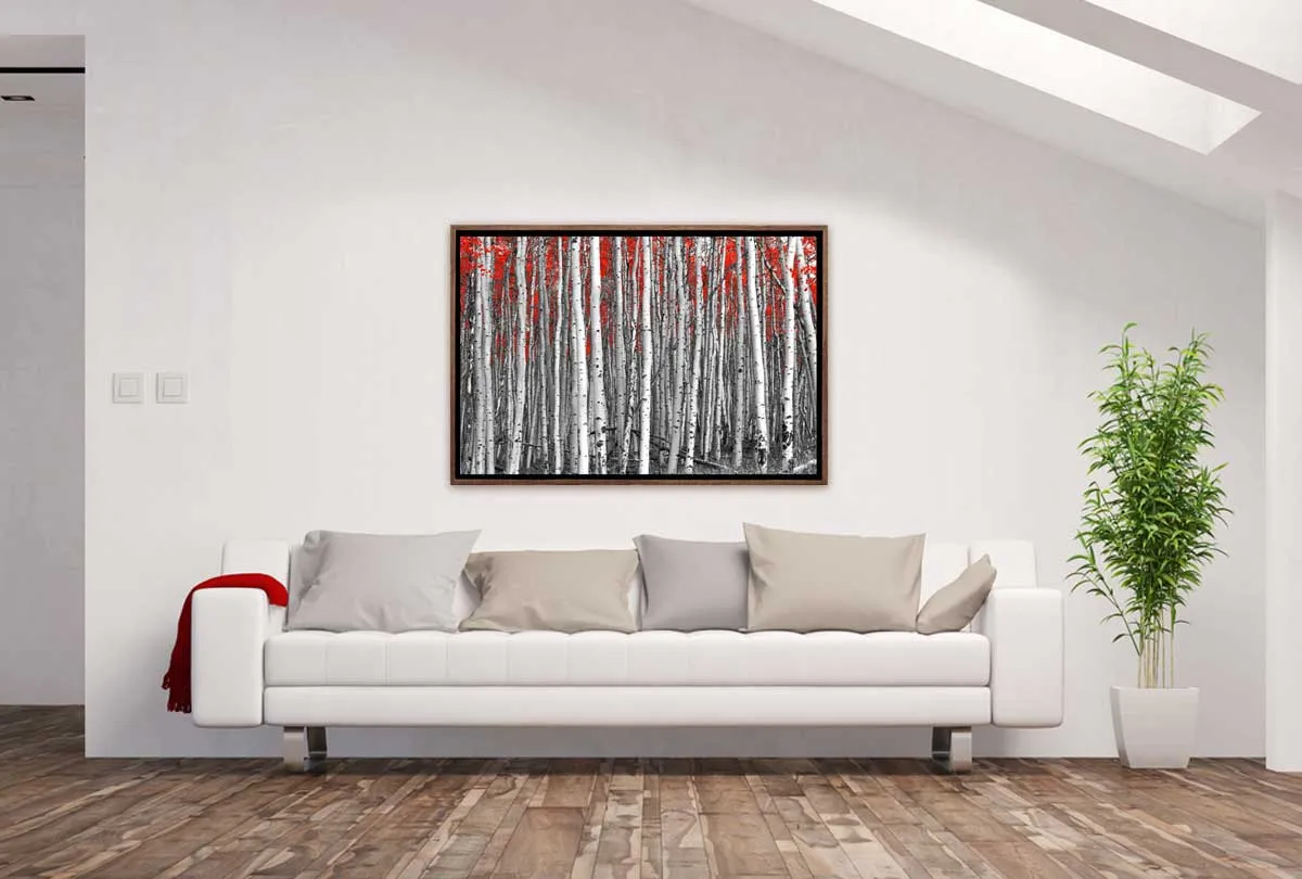 Birch Forest | Canvas Wall Art Print