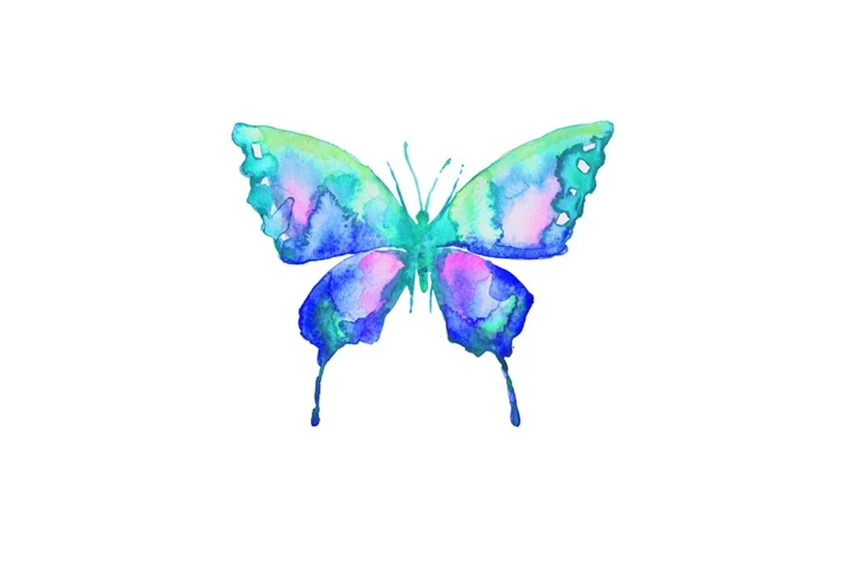 Butterfly 1 | Canvas Wall Art Print