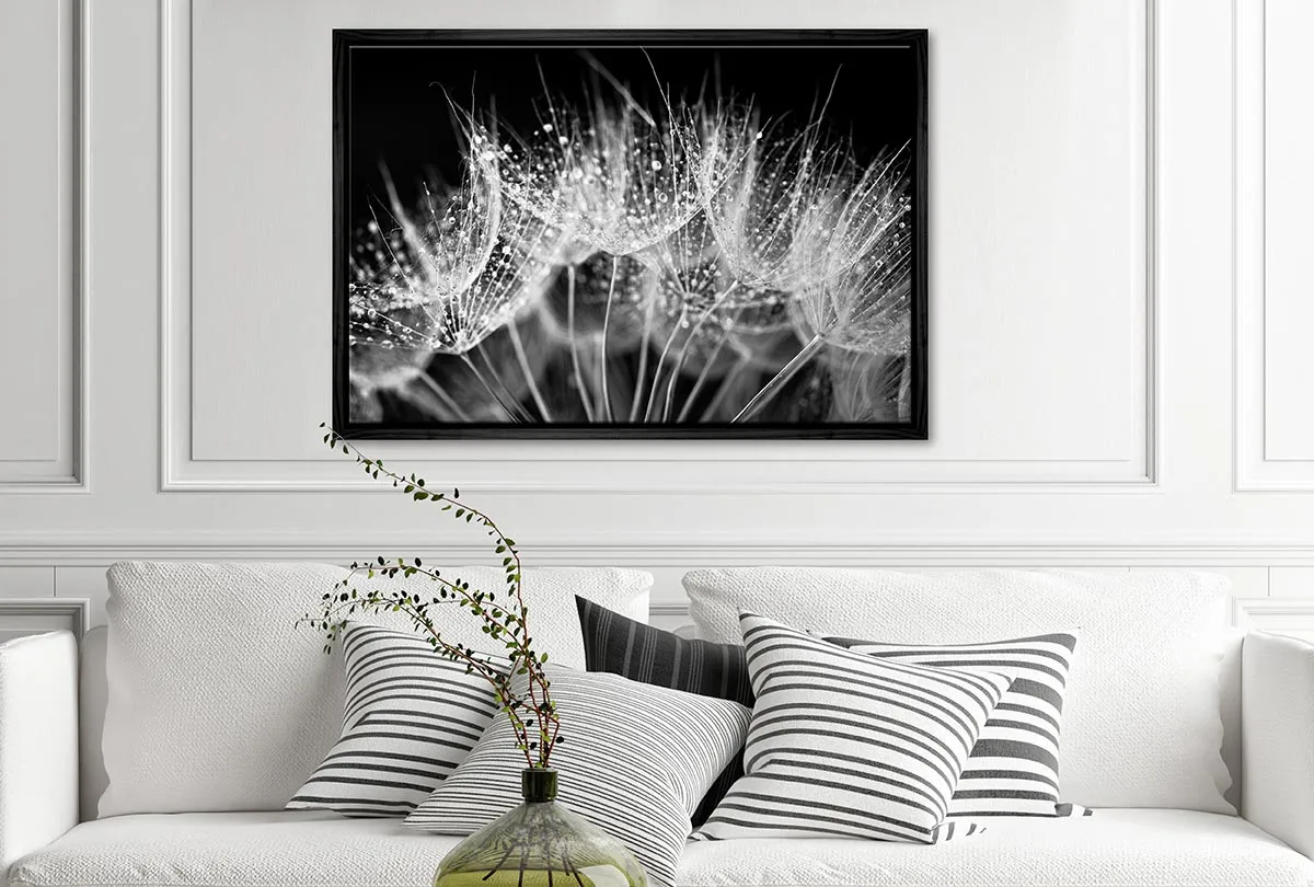 Close-Up Dandelion on Black | Canvas Wall Art Print