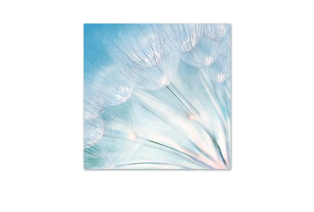 Dandelion | Canvas Art Print