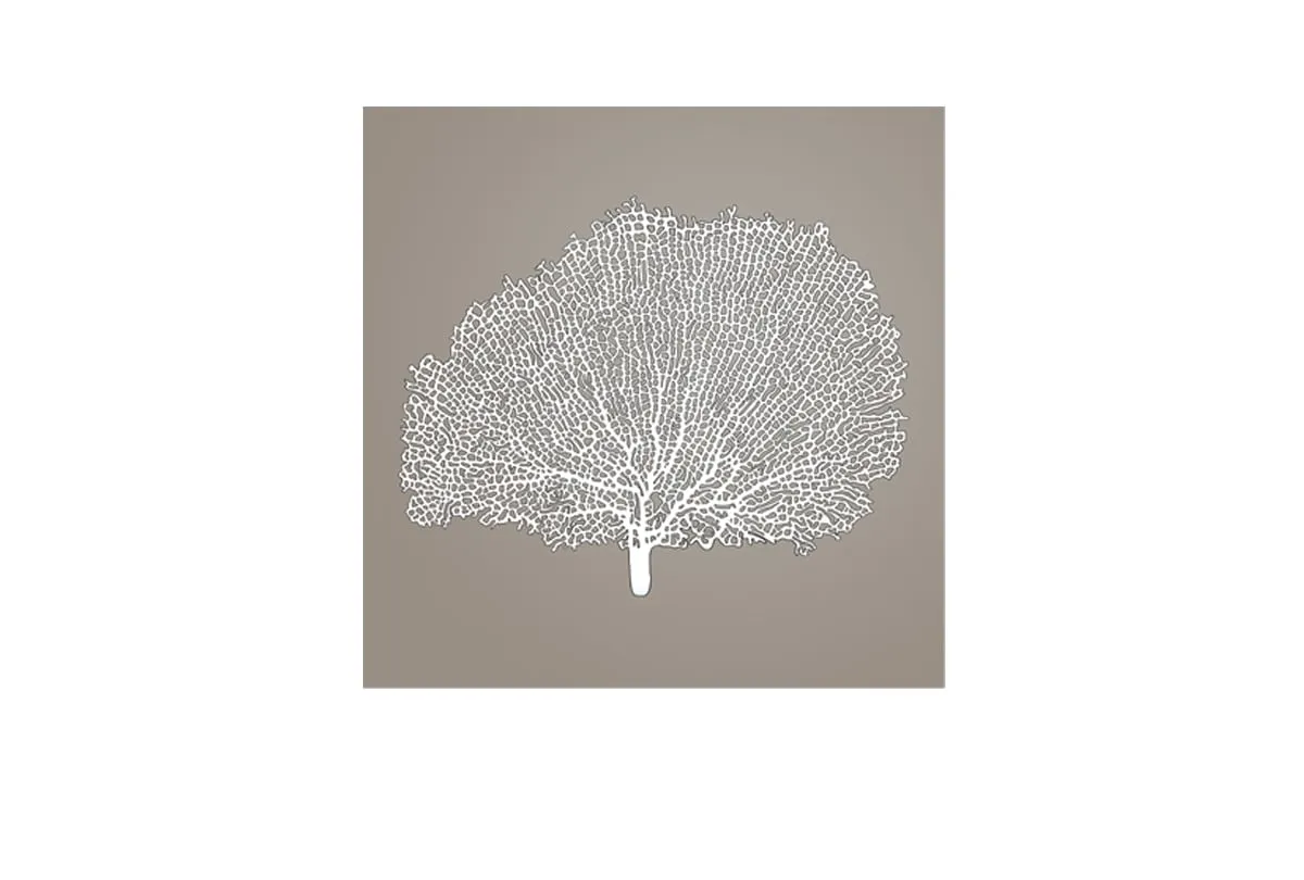 Fan Coral 2 White on Beige | Canvas Wall Art Print