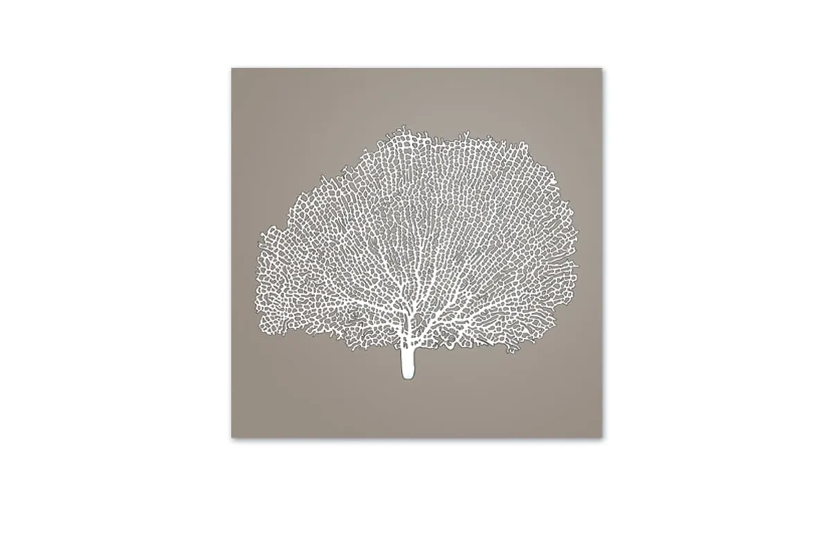 Fan Coral 2 White on Beige | Canvas Wall Art Print