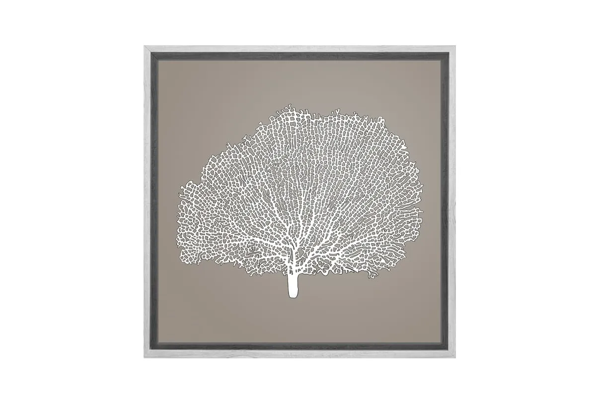 Fan Coral 2 White on Beige | Canvas Wall Art Print