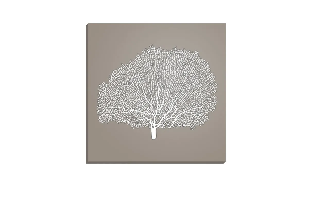 Fan Coral 2 White on Beige | Canvas Wall Art Print