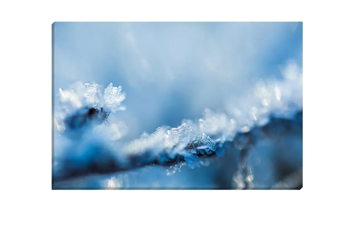 Frost | Canvas Art Print