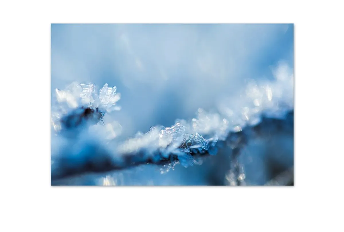 Frost | Canvas Art Print